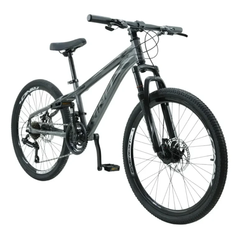 Bicicleta aro 24 Rino Everest grafite com 21 marchas e freio a disco
